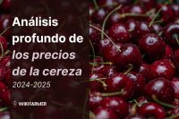 Análisis profundo de los precios de la cereza: un estudio completo de precios 2024–2025
